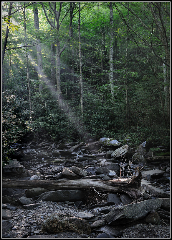 May Sun Rays.jpg