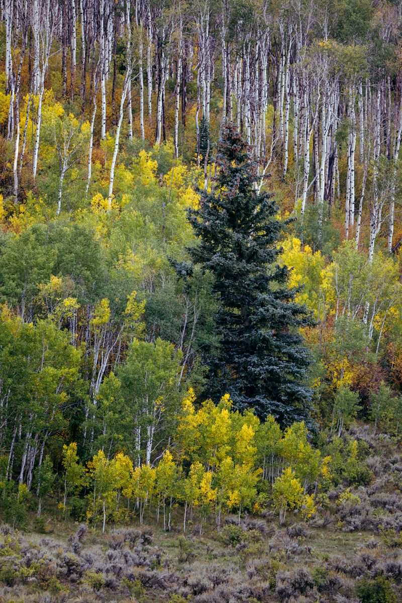 McClure-Pass---09-18-2021.jpg