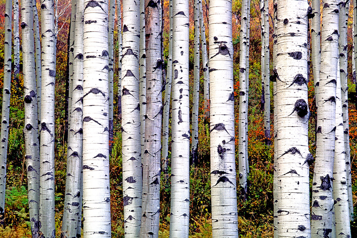 McClure pass I.jpg