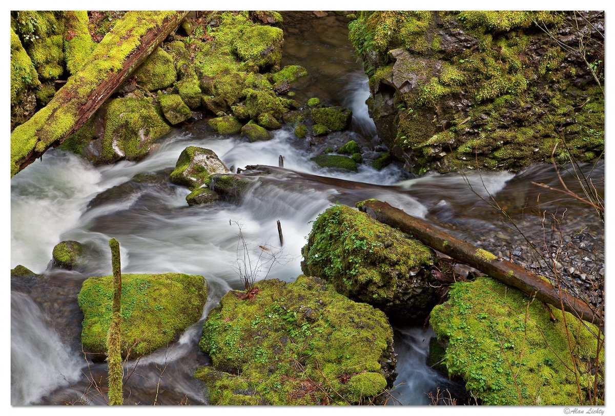 MCordCreek-2.jpg