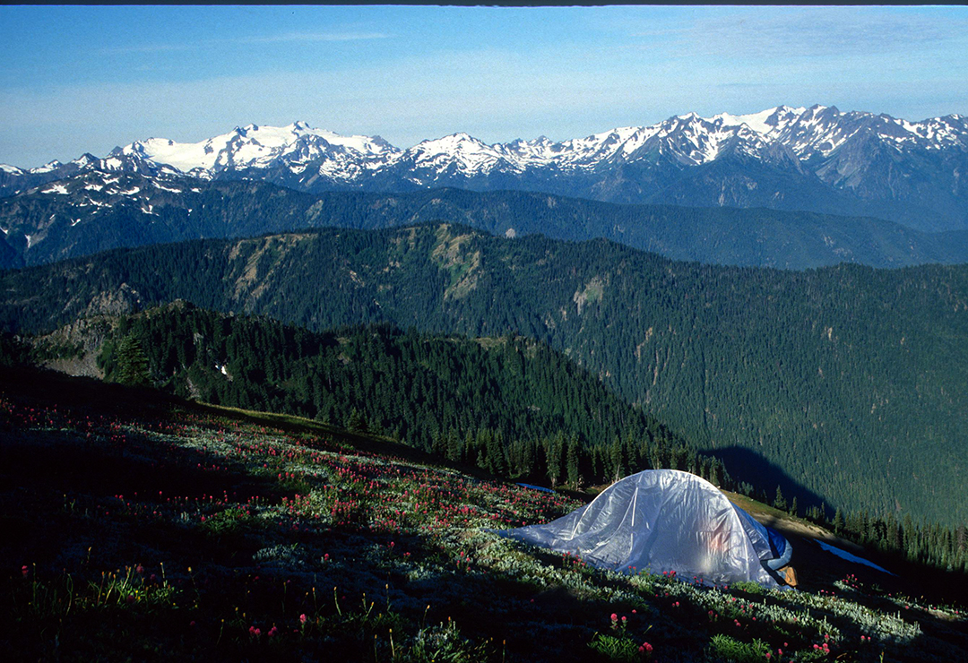 me in diffusion tent.jpg