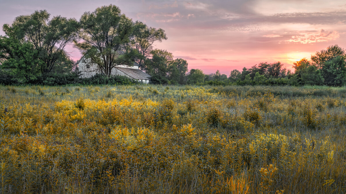 Meadow at Glacier Ridge-3.jpg