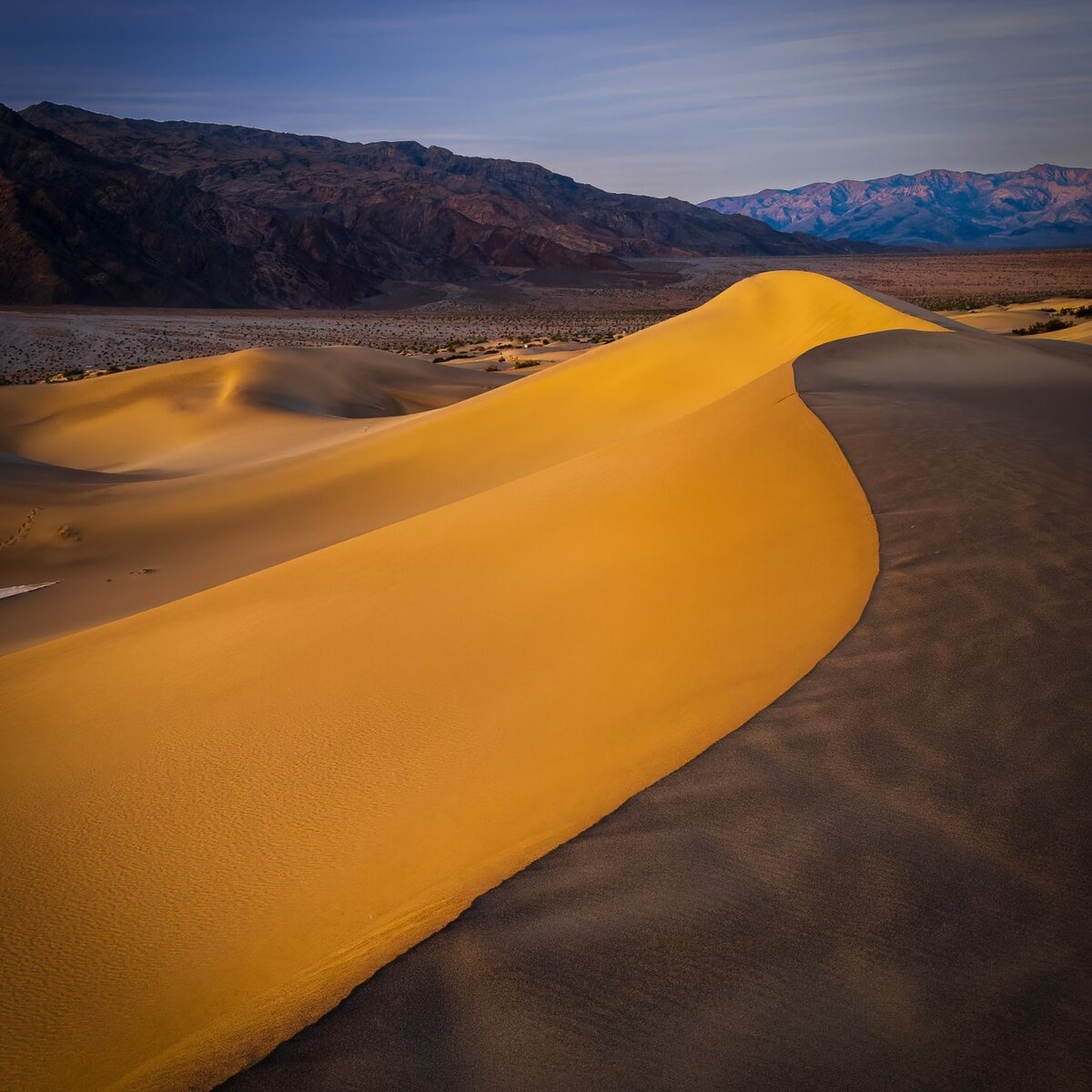 Mesquite Dunes.jpeg