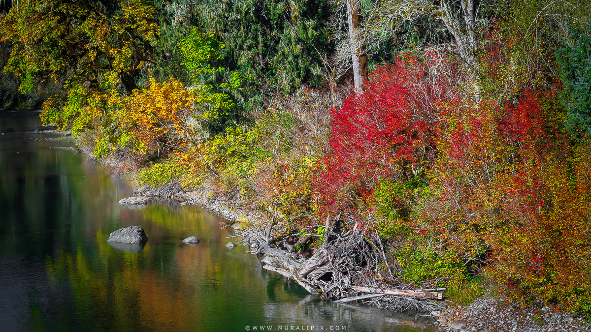Middle Fork of Snoqualmie River 03.jpg