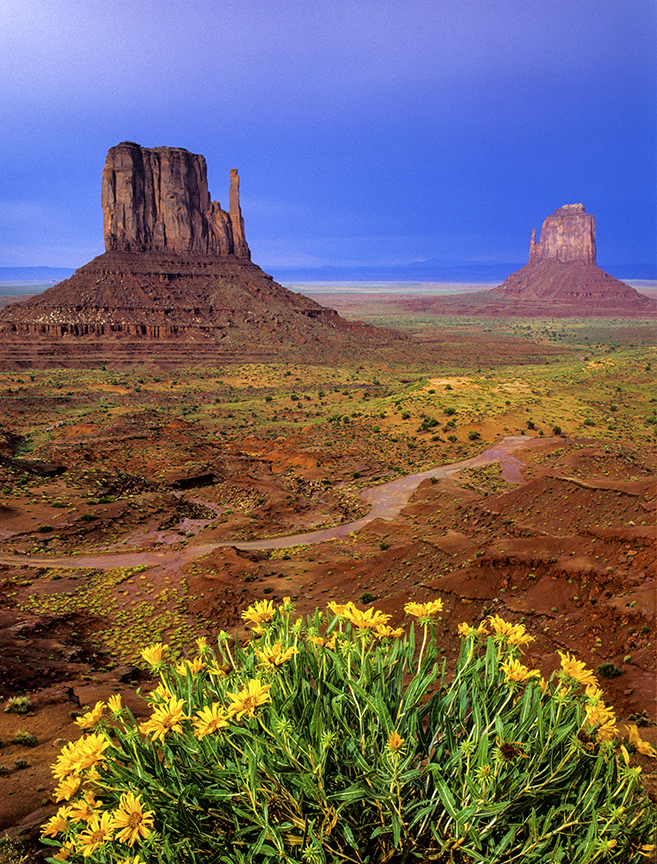 Mitten Buttes and Mules Ears  II.jpg