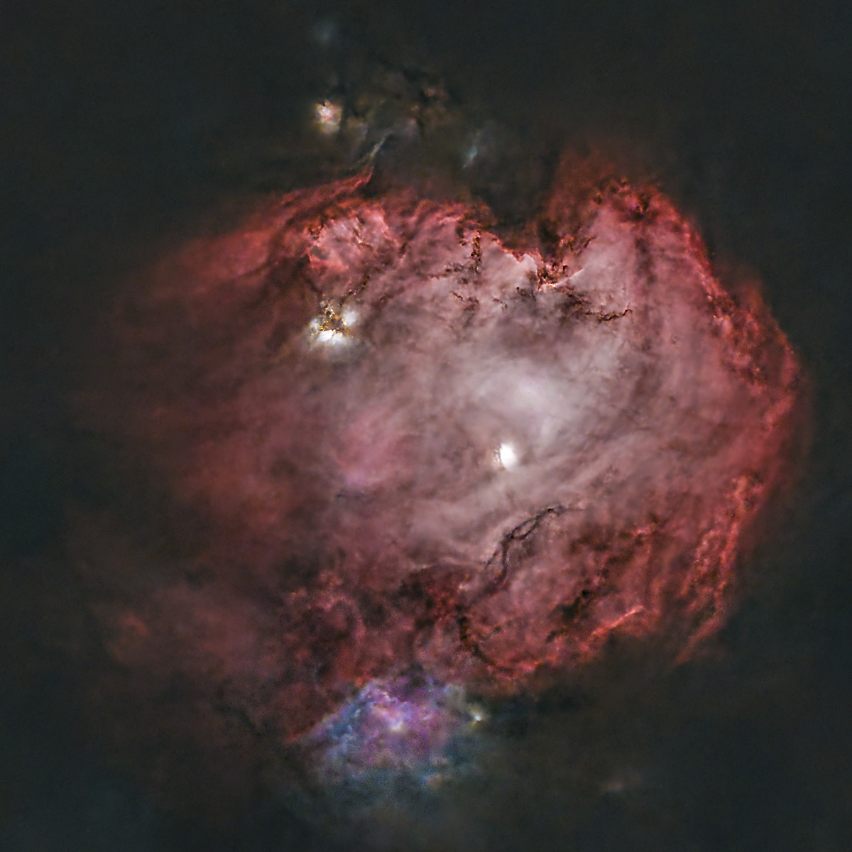 MonkeyheadNebula_NGC2175_20230120_Cropped_NoStars_dw.jpg