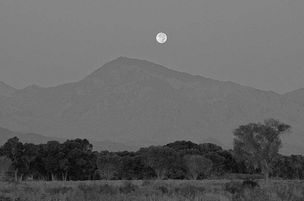 moonset 0250 dw.jpg