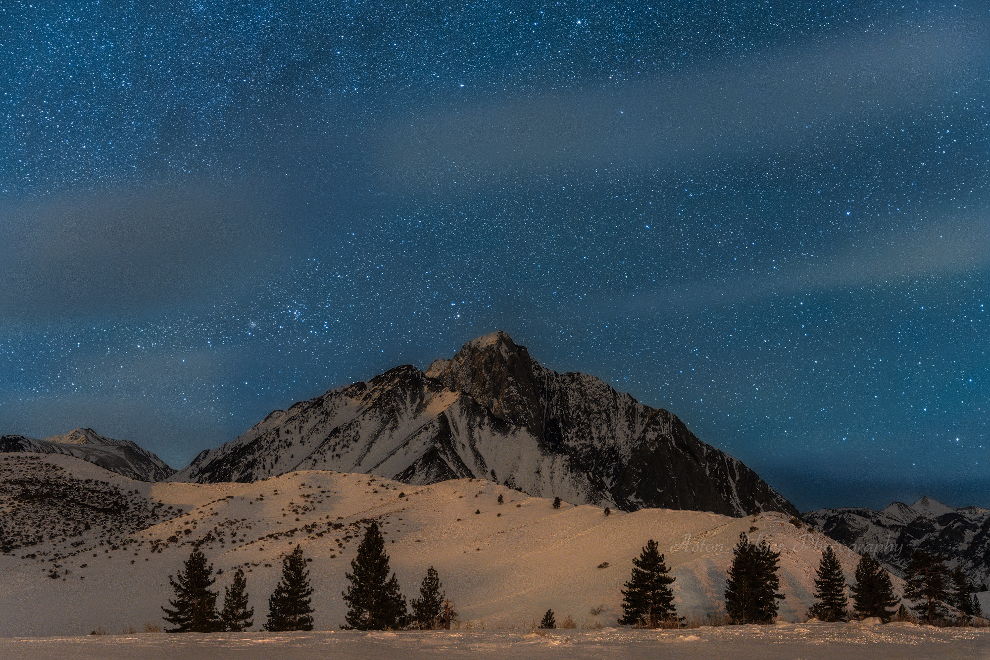 Morrison by Moonlight.jpg