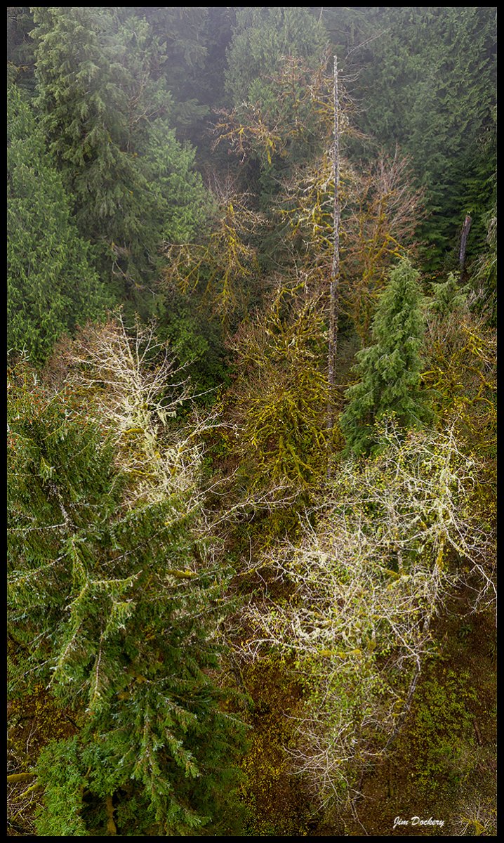 Mt.-Loop-10.2.18b-35-Pano.jpg