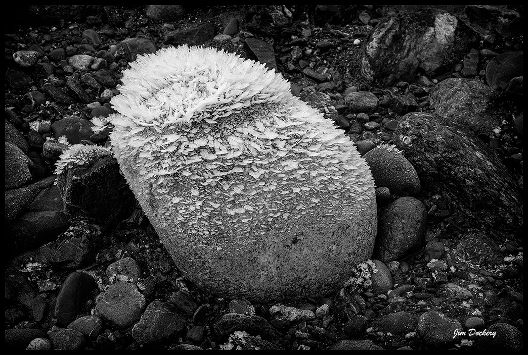 Mt.-Loop-12.17-(60).jpg