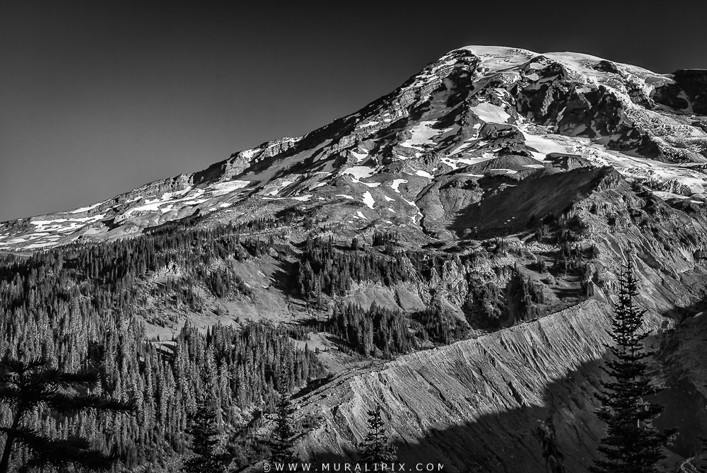 Mt Rainier Nisqually Vista View B&W.jpg