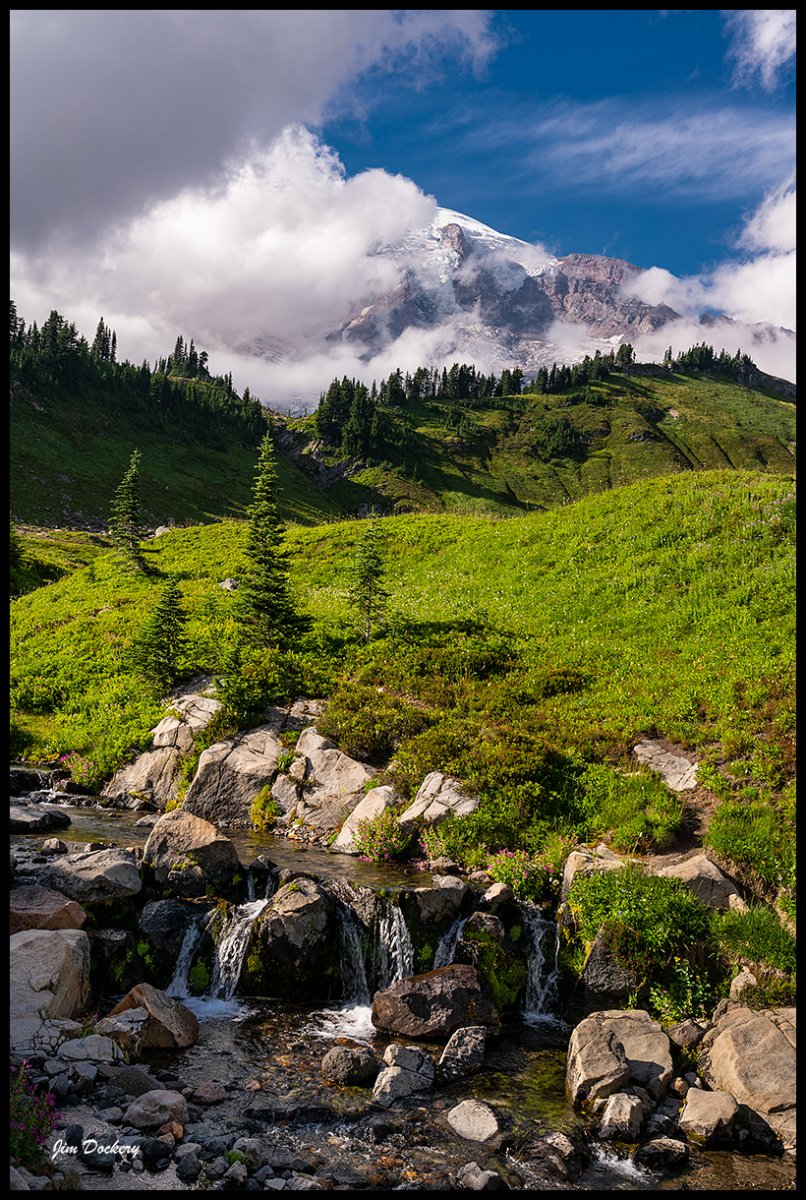 Mt.-Rainier-Paradise-8.19-05.jpg