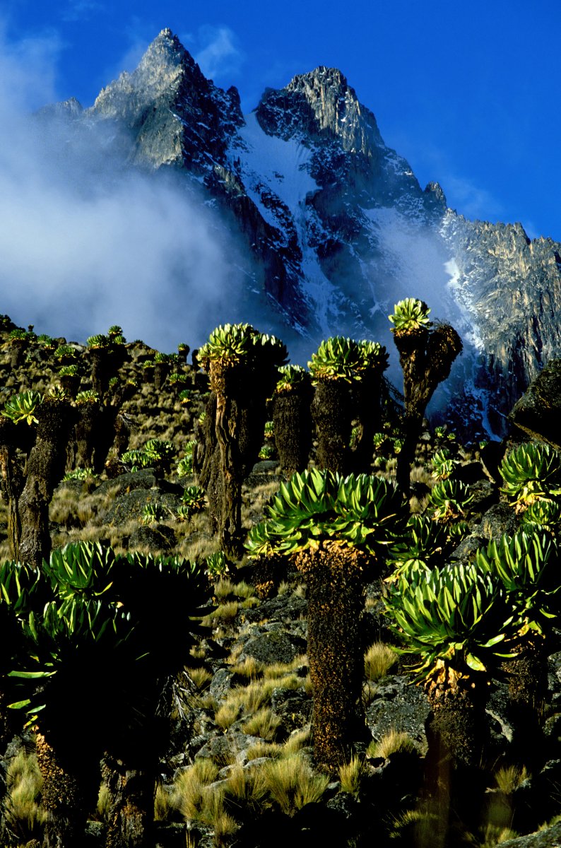 MtKenya.jpg