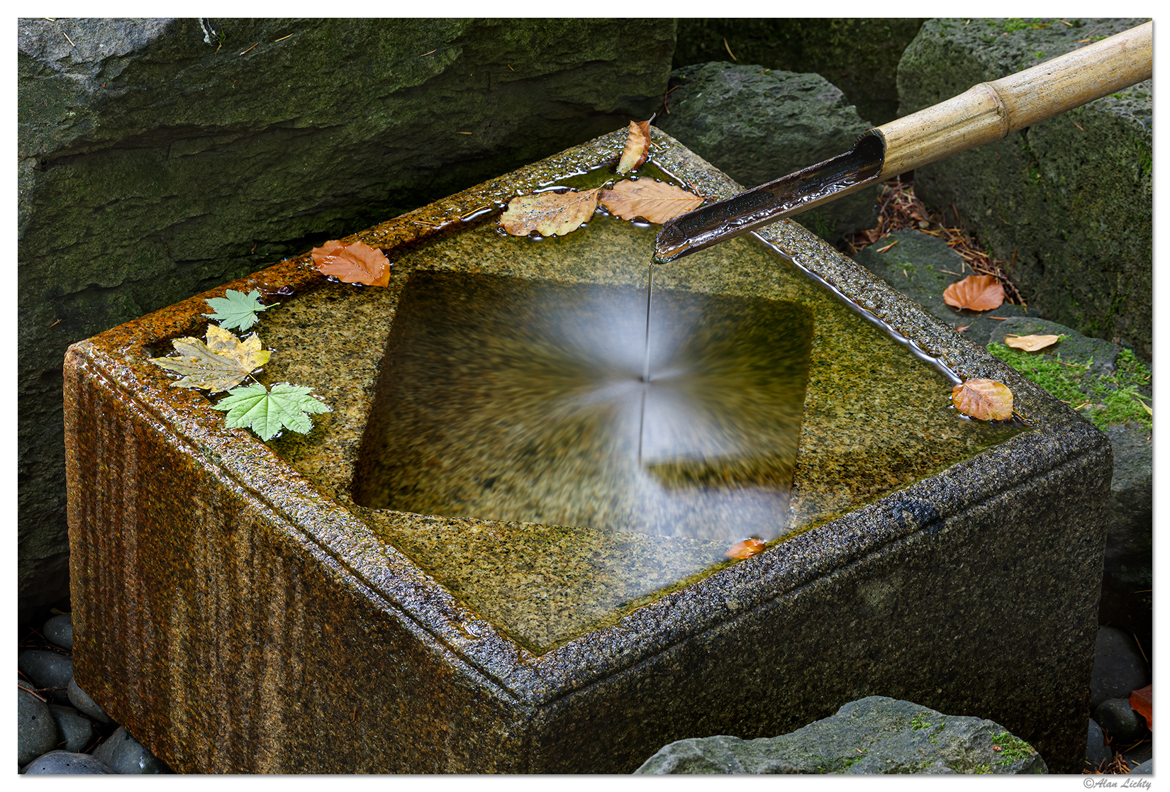NaturalGarden10-22-11.jpg
