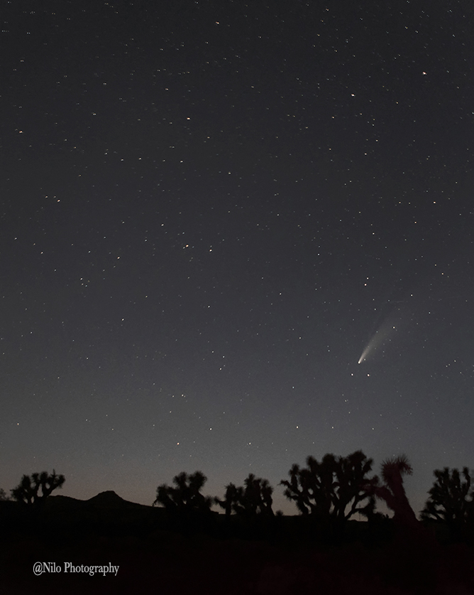 Neowise Comet 1.jpg