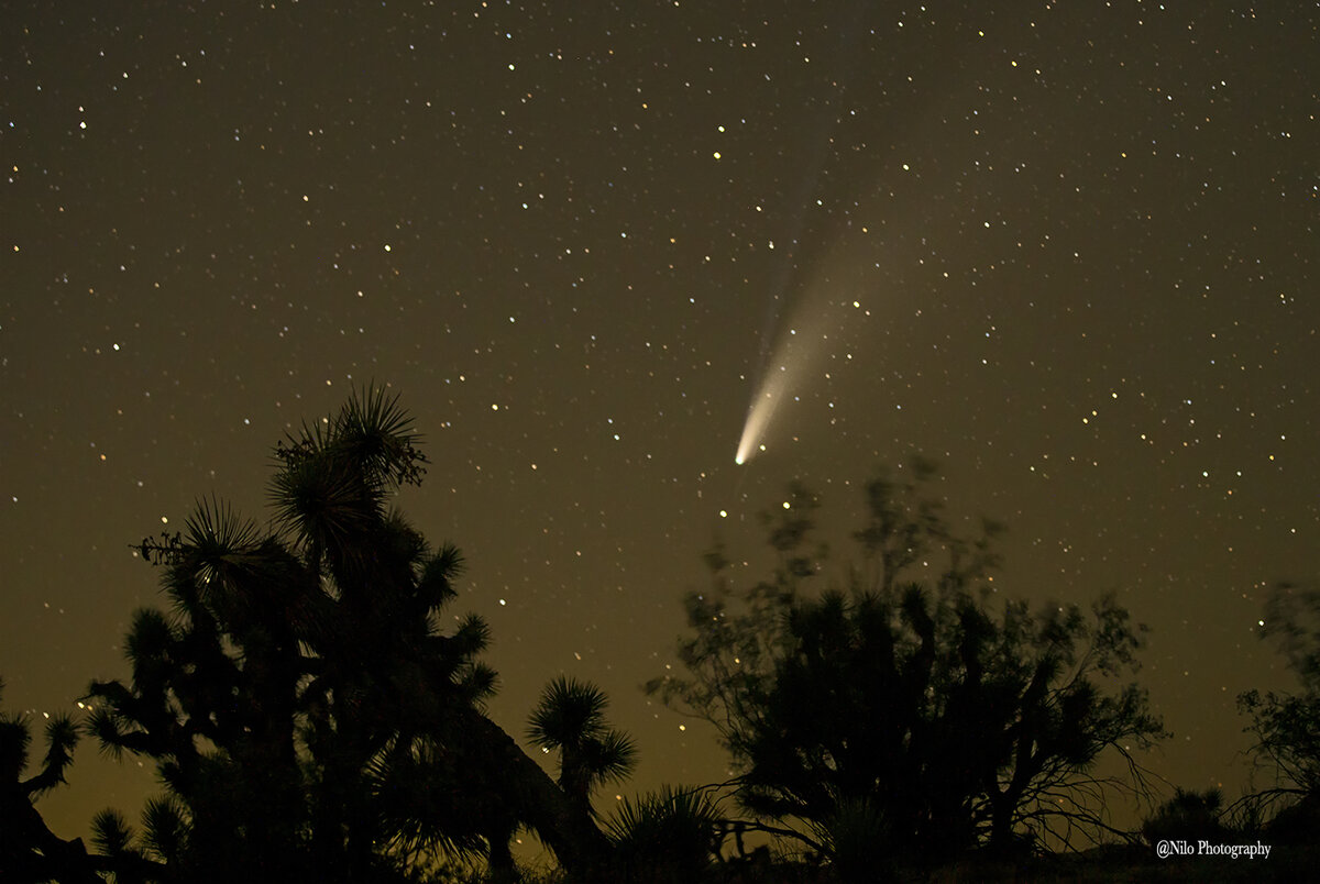 Neowise Comet 3.jpg