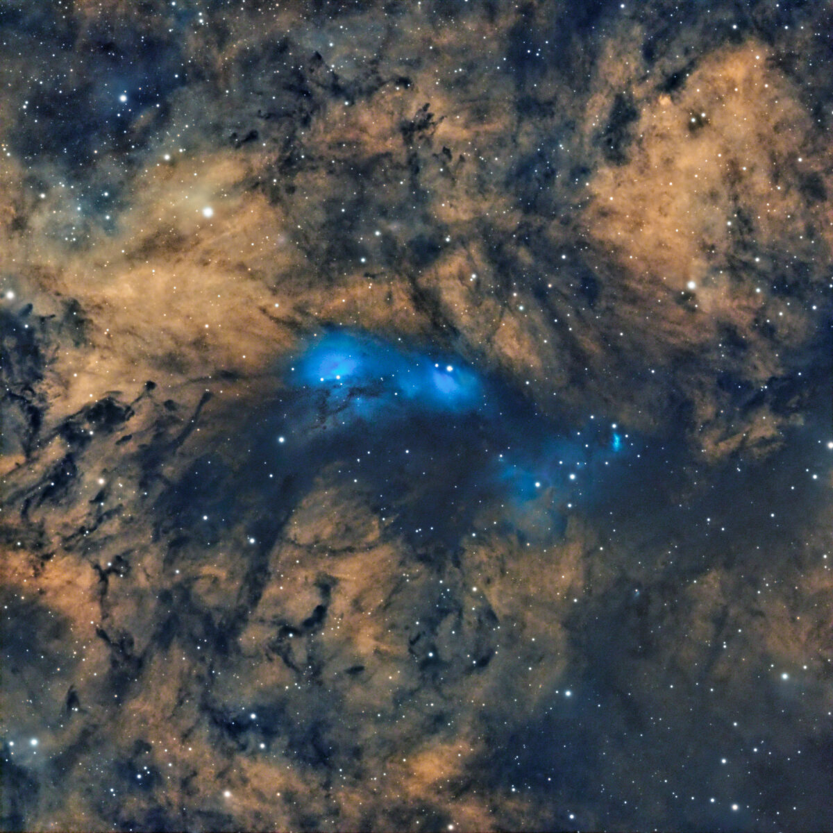 NGC 6914 foraxx-2.jpg