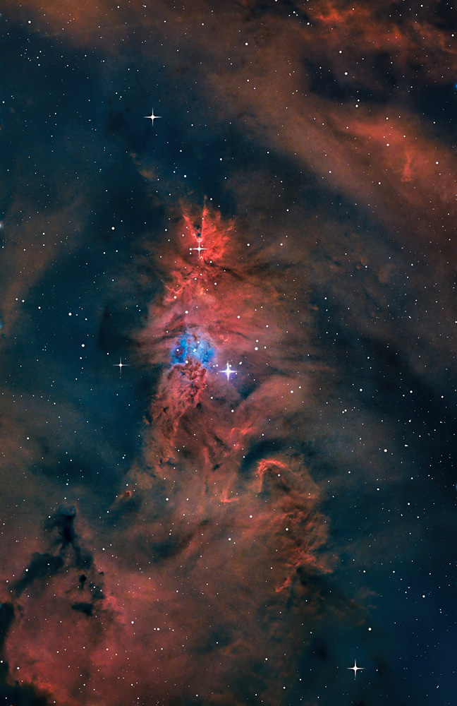NGC2264_ChristmasTreeCluster_20221221_dw.jpg
