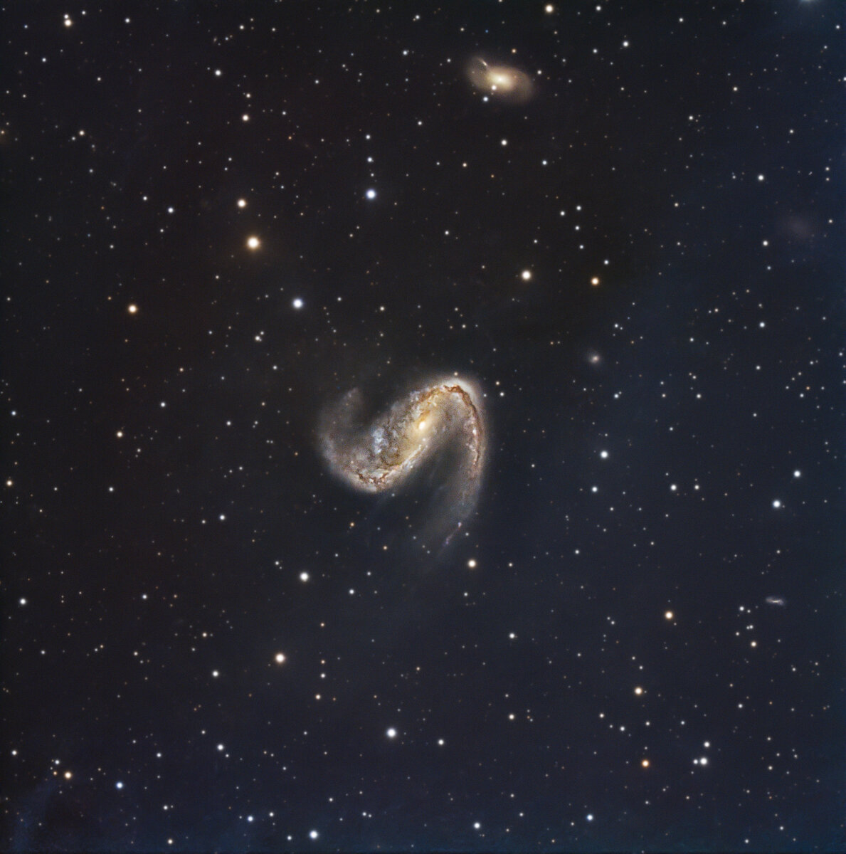 NGC2442 Two Nights Combi-LargeJPEG.jpg