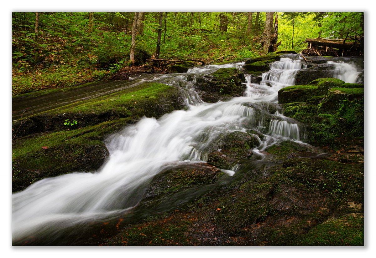 NTP June 2019-40 Diagonal Falls Display.jpg