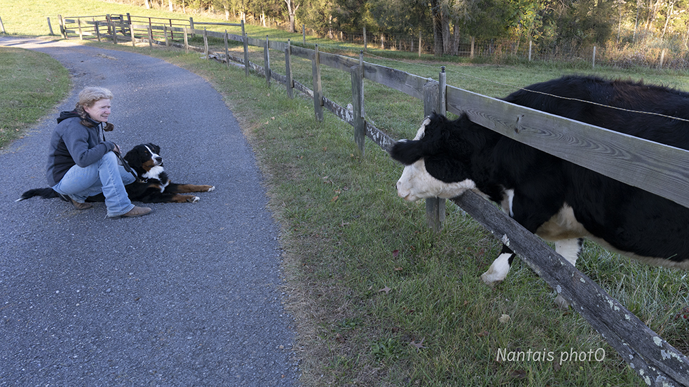 NZ2_1015s.jpg