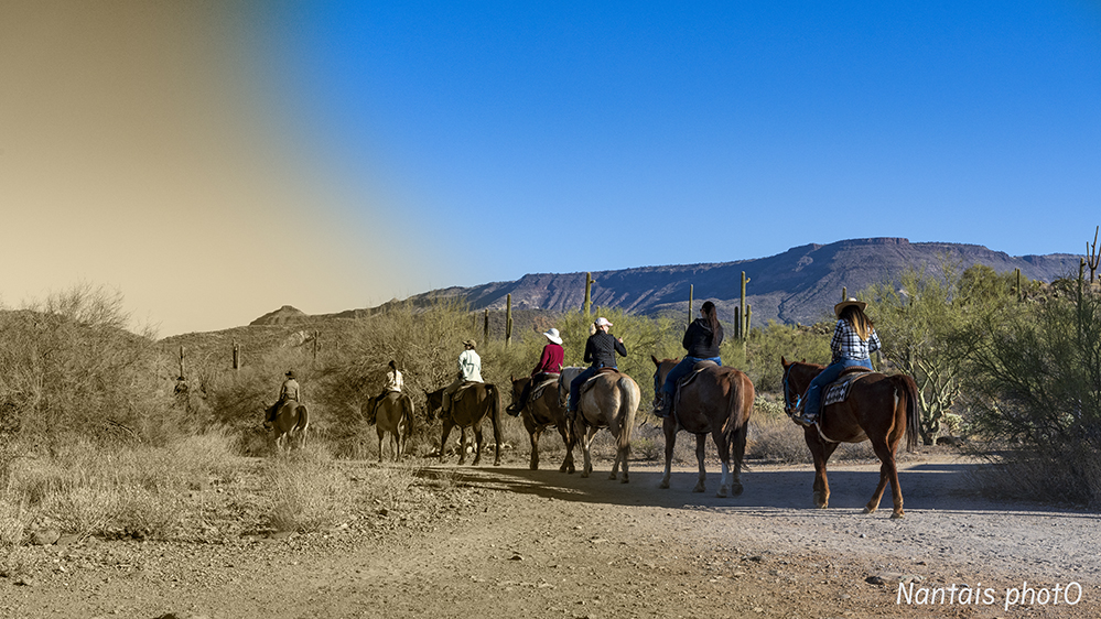 NZ2_1218s.jpg
