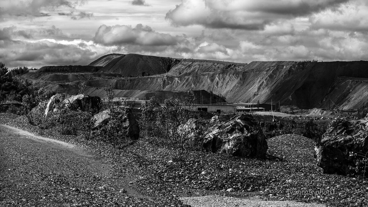 NZ2_2519s.jpg