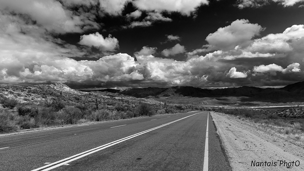 NZ2_2948nbS.jpg