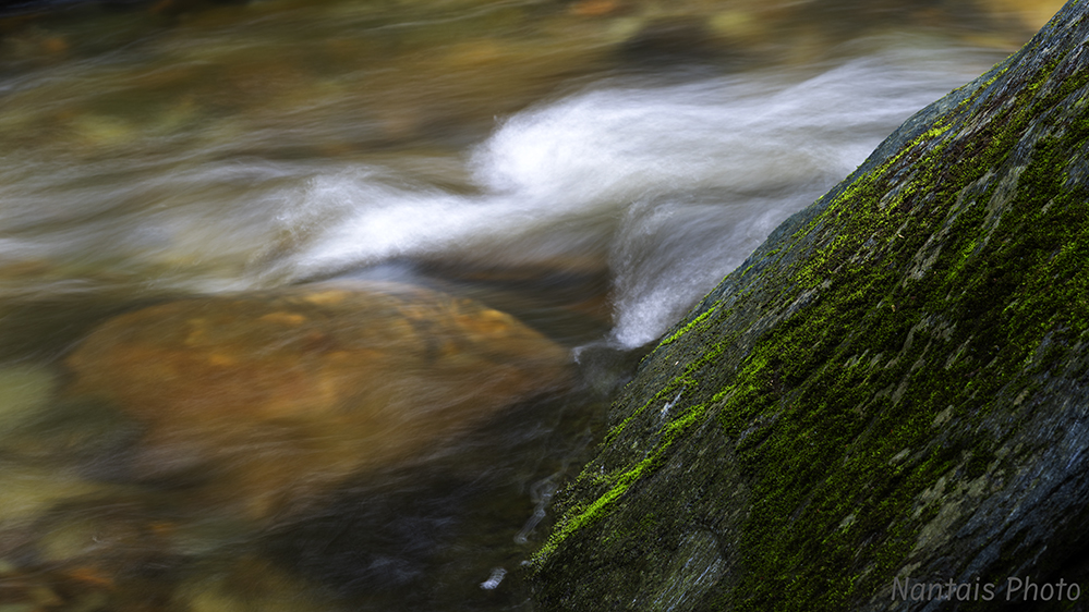 NZ2_3872s.jpg