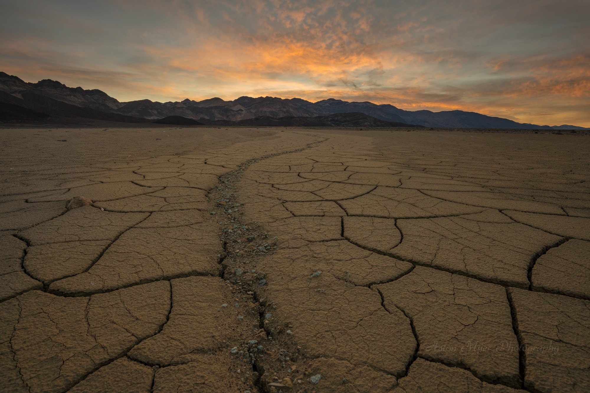Open Choices, Indicated Path.jpg