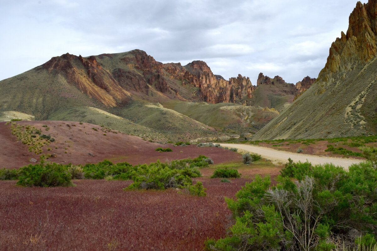 Or22-2-07_DSC7655.JPG
