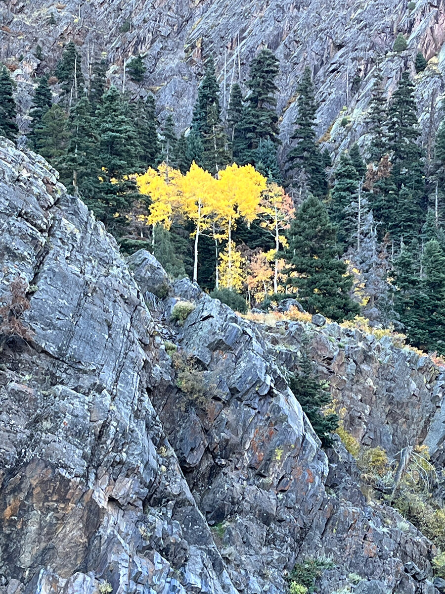 Ouray-trail.jpg