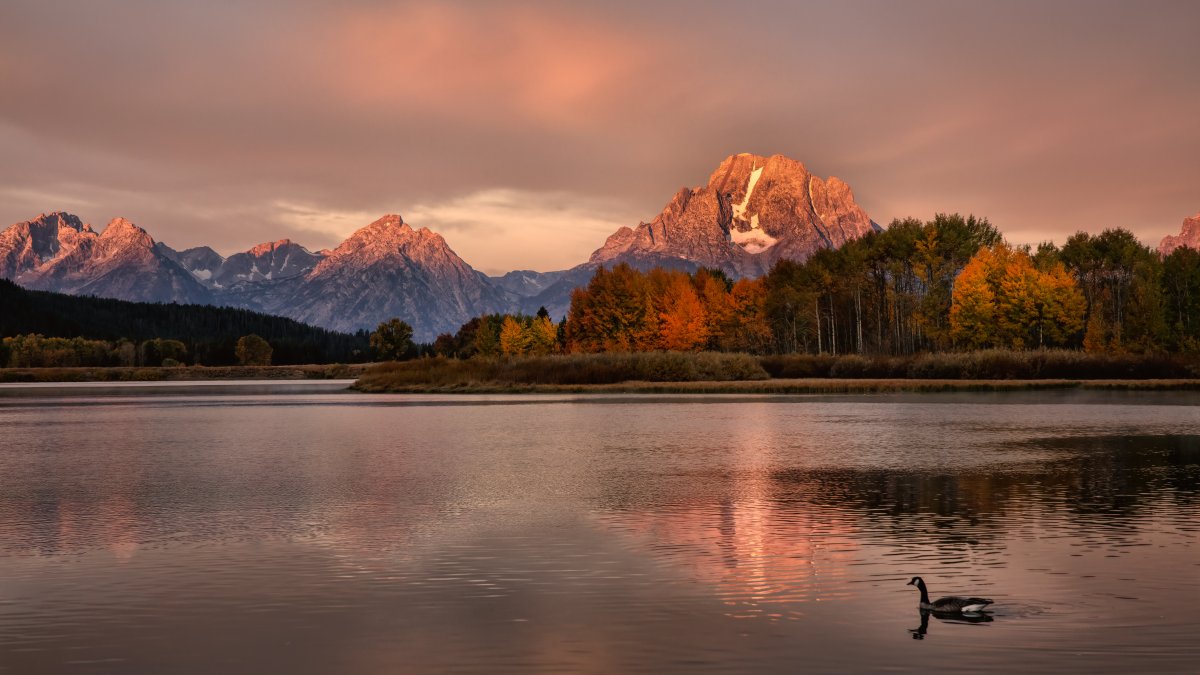 Ox Bow Bend - AJN - 12-03-2018-3-1-3.jpg