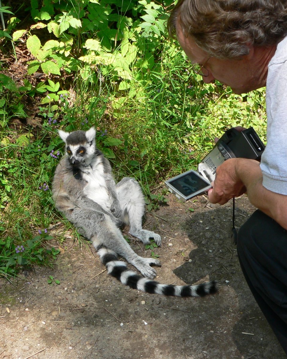 P1060991_crop.JPG
