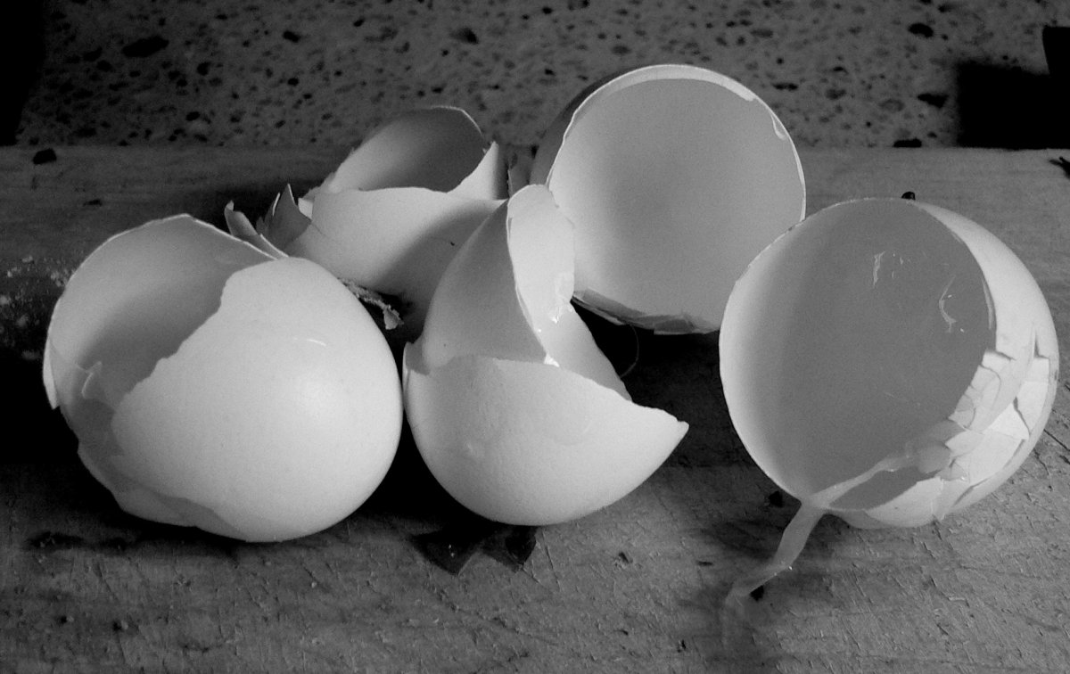 P1080243_cropped_BW.JPG