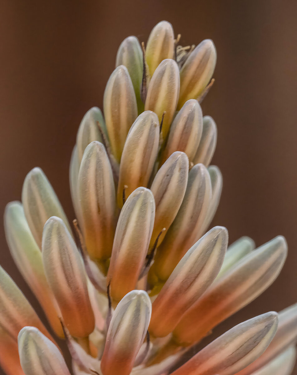 P3050817-Edit.jpg