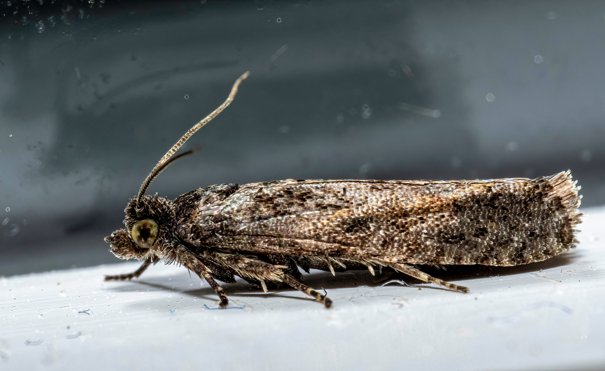 P4150070-Edit.jpg