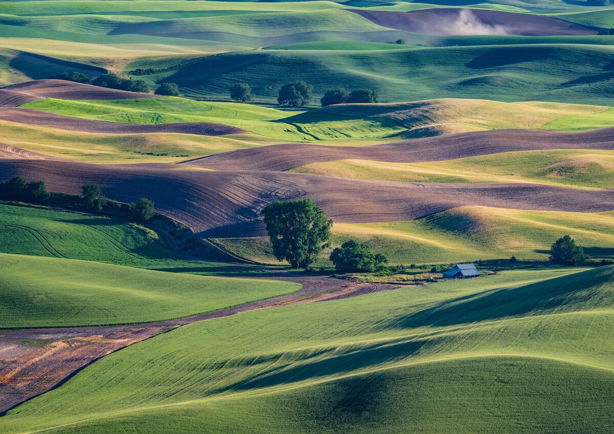 P6230144-Edit-2-Edit.jpg