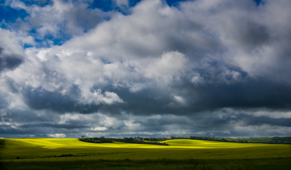 P7170111-Edit-DeNoiseAI.jpg