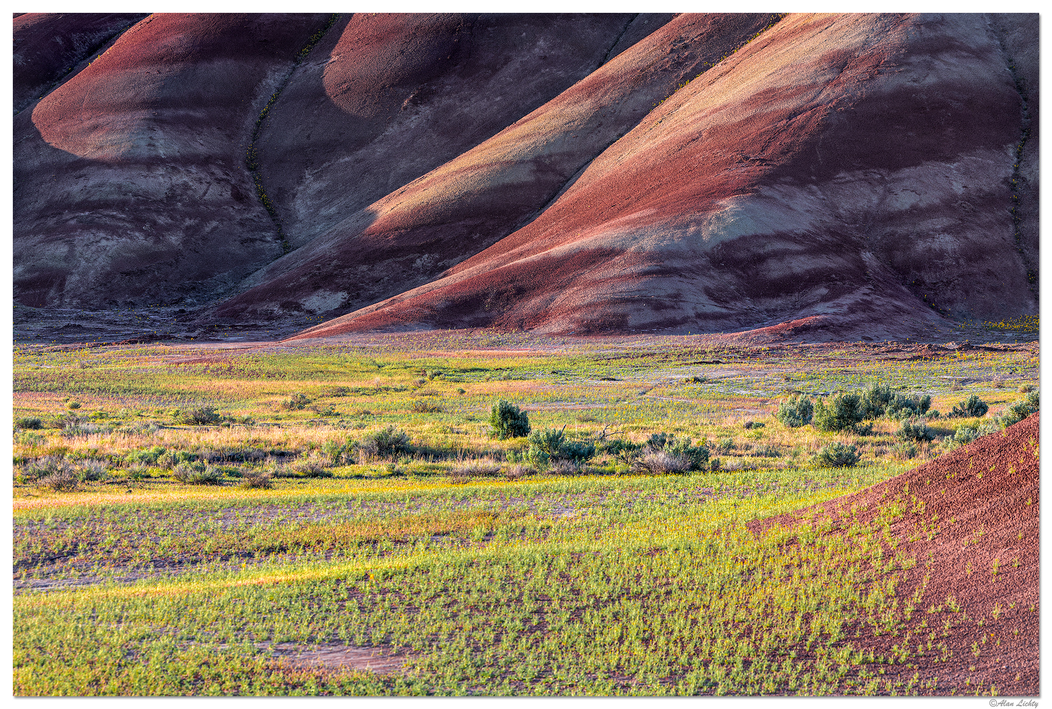 PaintedHillsMorning051119.jpg