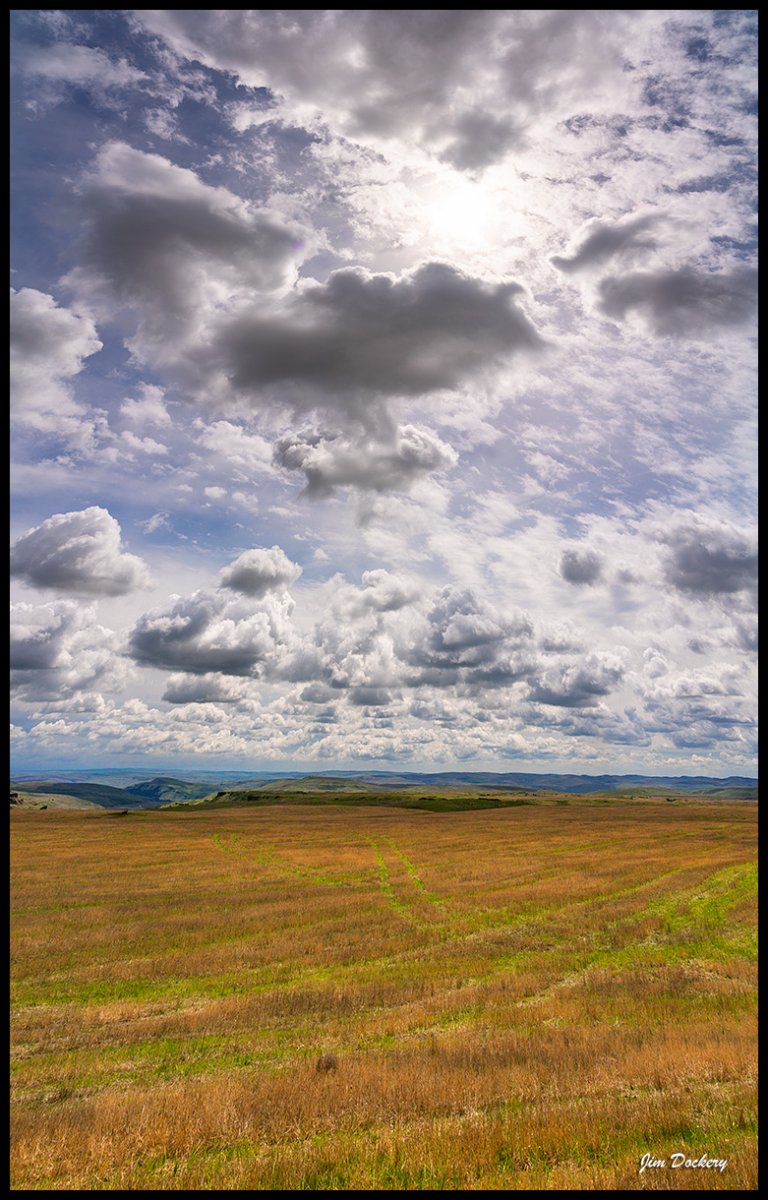 Palouse-4.19-015-Pano.jpg