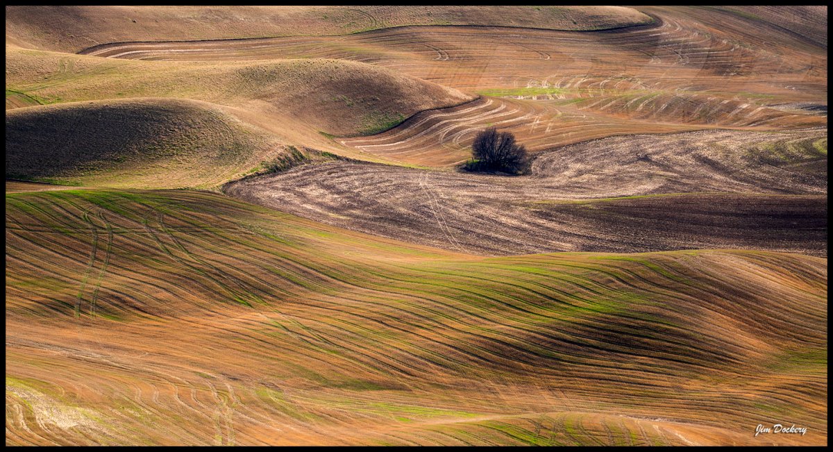 Palouse-4.19-135.jpg