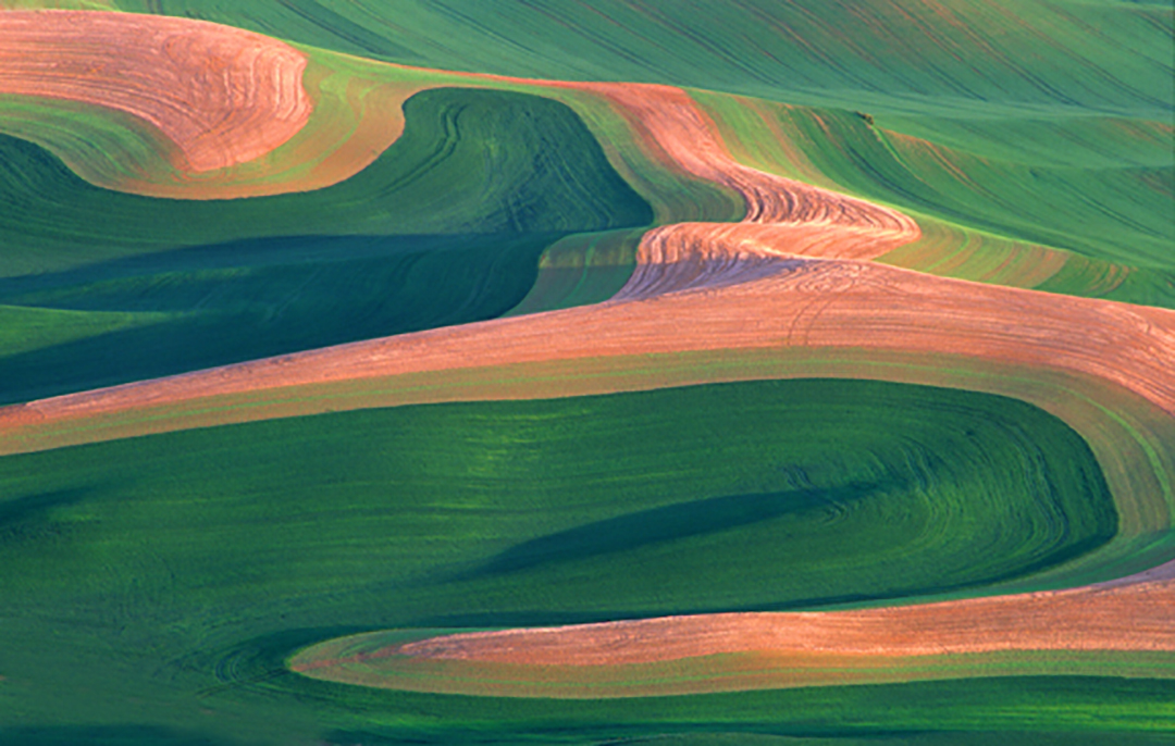 palouse hills III.jpg
