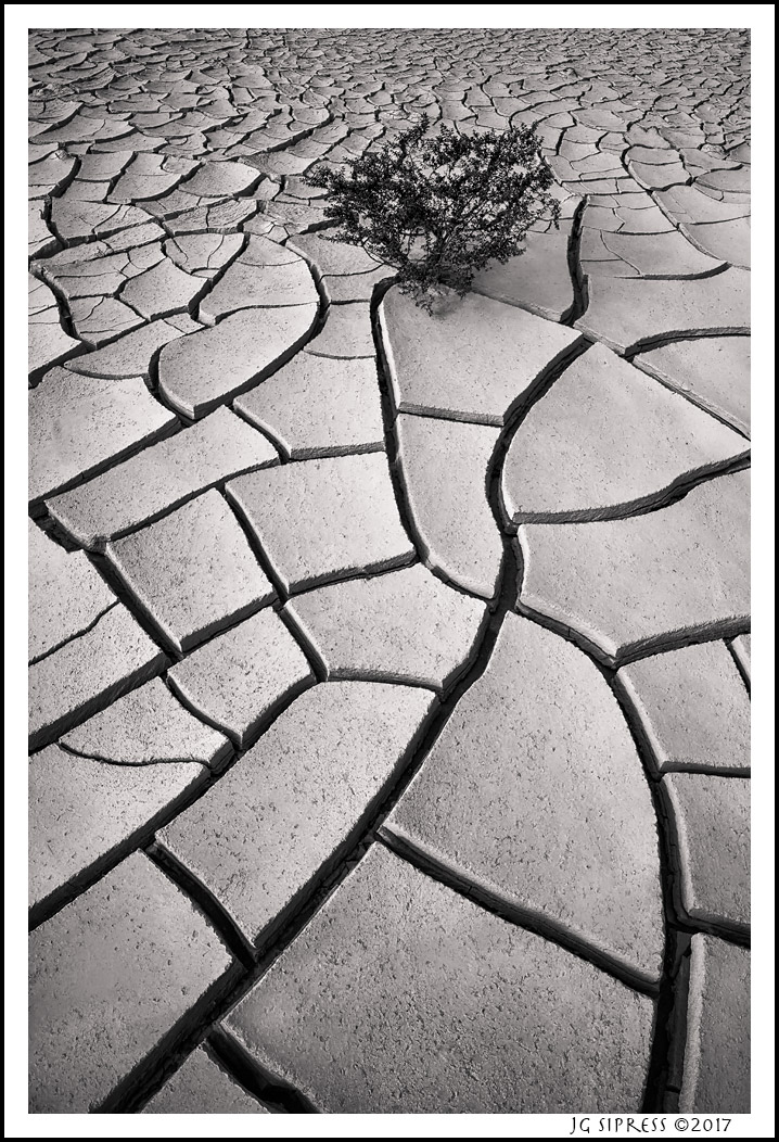 panamintcracks2a-toned.jpg