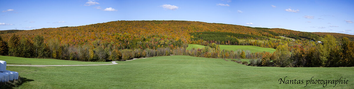 Panorama scene automne2S.jpg