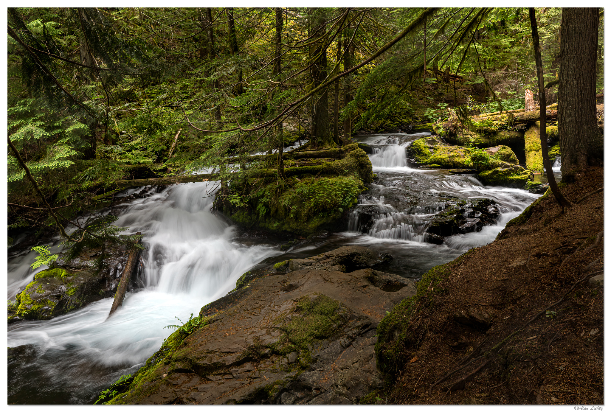 PantherCreekAreaS-2018.jpg