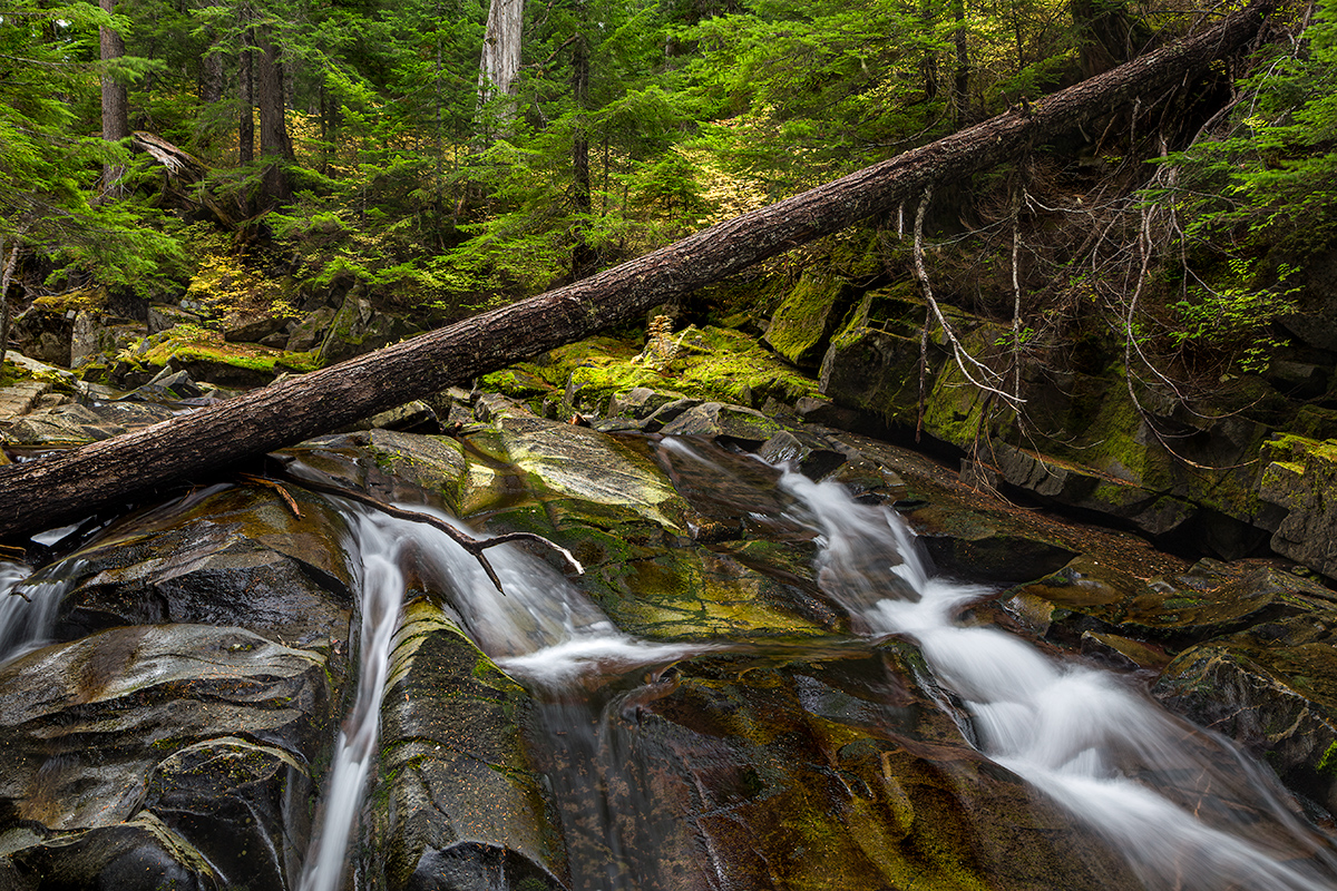 ParadiseCreekRapids1-1Flow.jpg