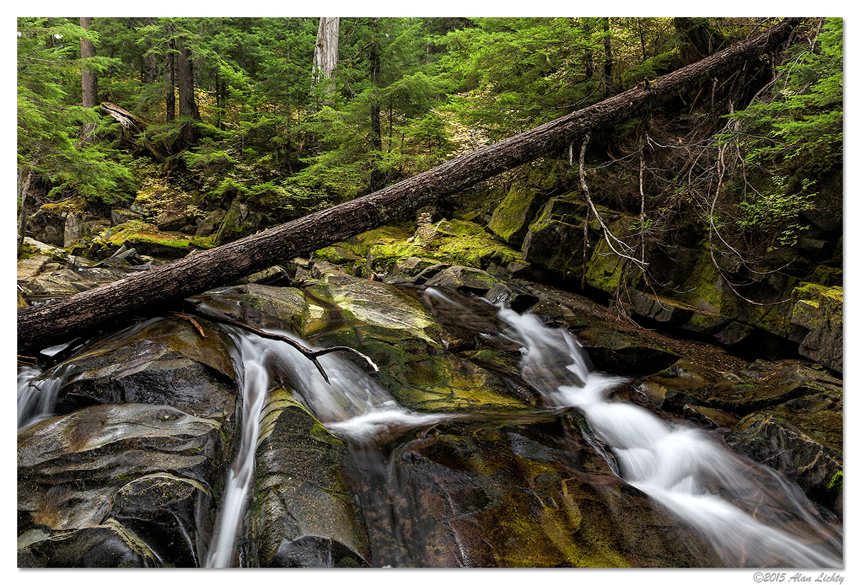 ParadiseCreekRapids1.jpg