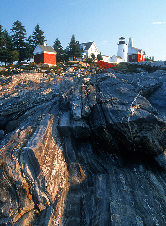 pemaquid vet.jpg