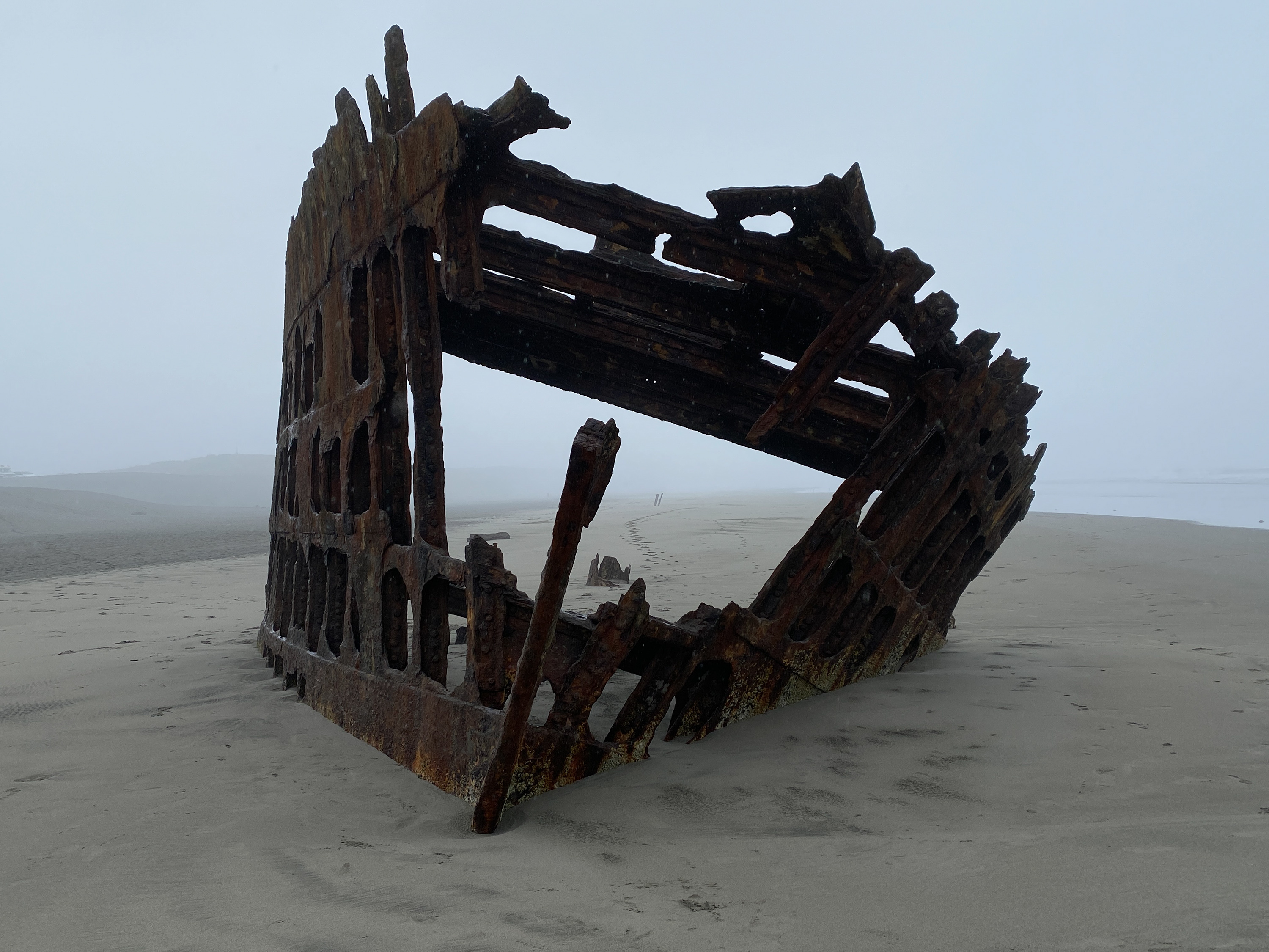 PeterIredale.jpg